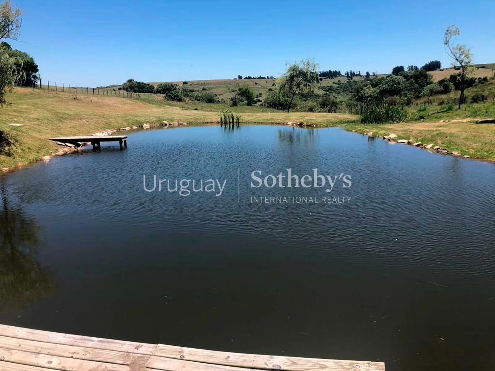 Chacra de 18,5 hectáreas con piscina en venta en Pueblo Edén – foto 11 de 17