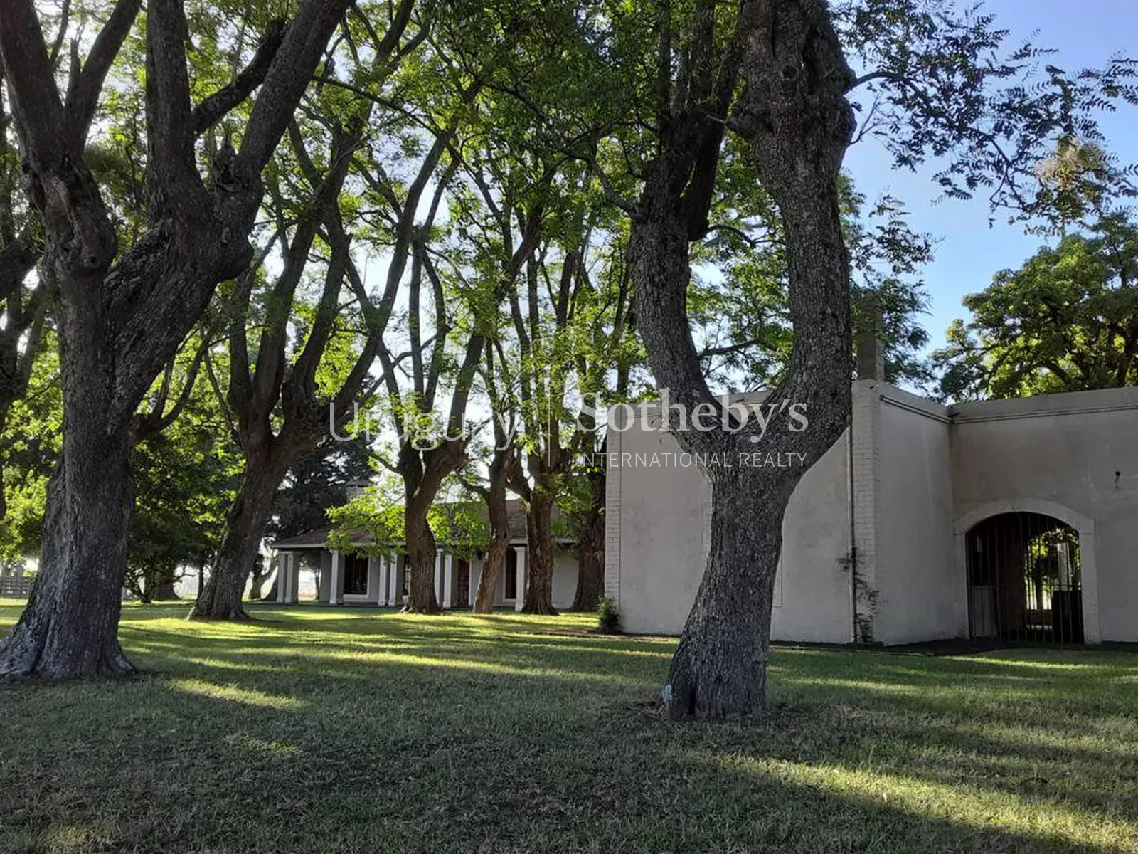 Ranch in San José