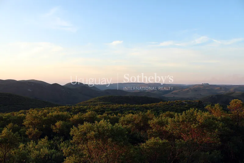 Grand Hunting Estate 3555 acres - Treinta y Tres