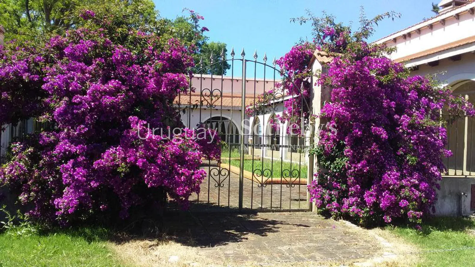 Ranch in San José