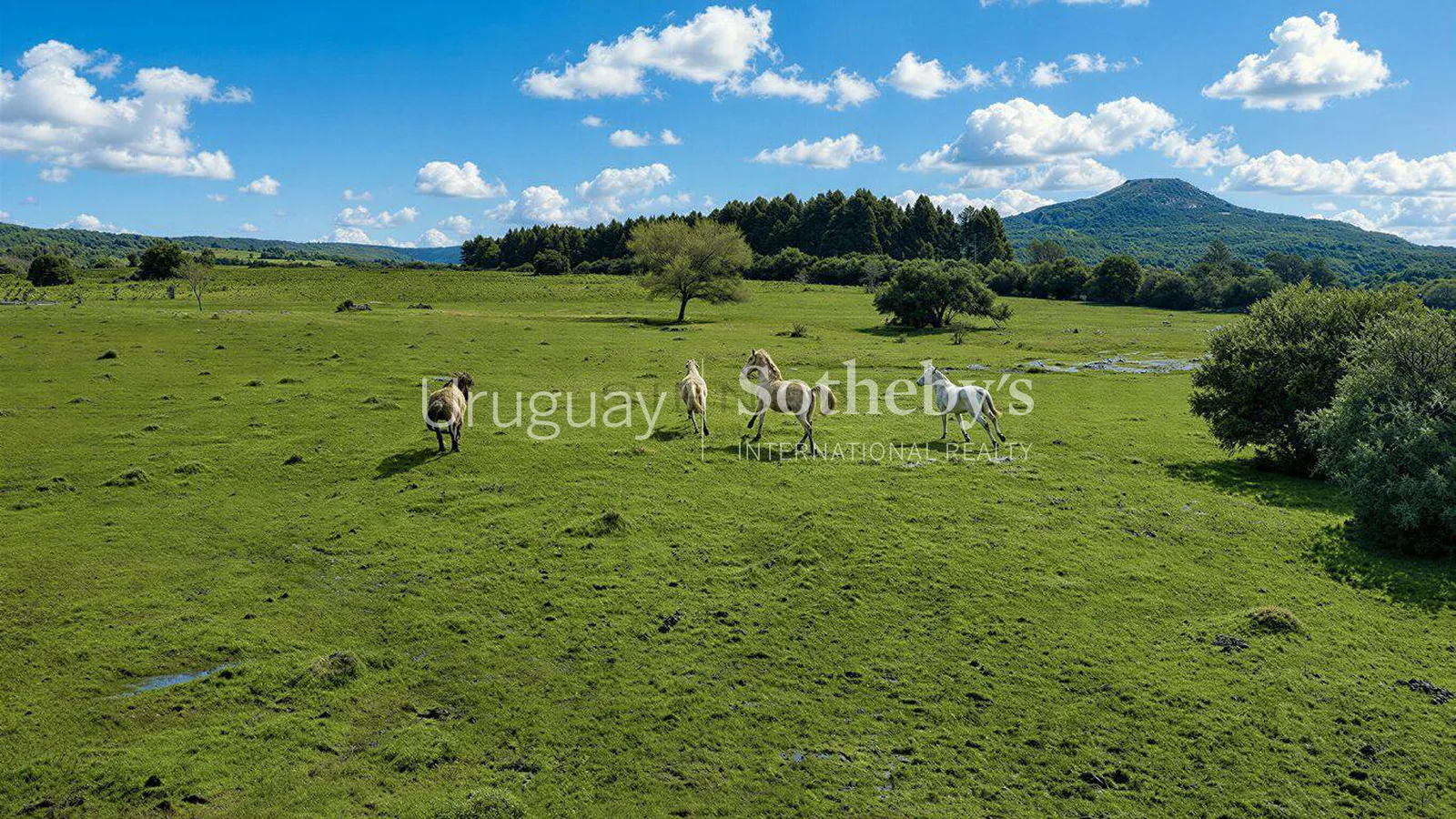 Chacra Pueblo Eden