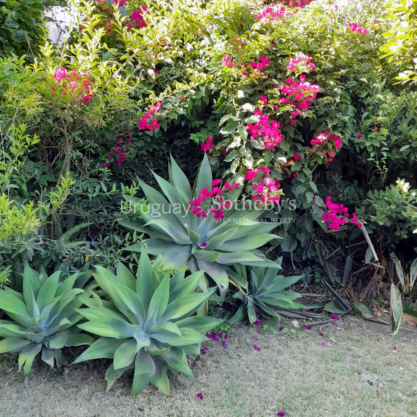 Casa de 3 dormitorios con vista al río en venta en Colonia – foto 14 de 15
