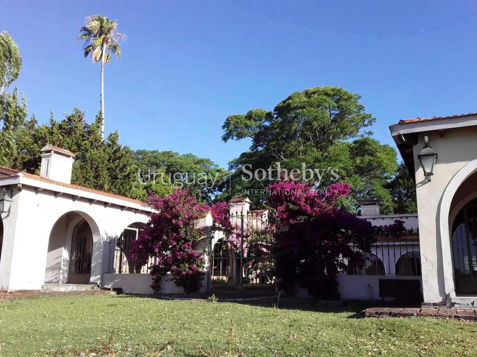 Ranch in San José