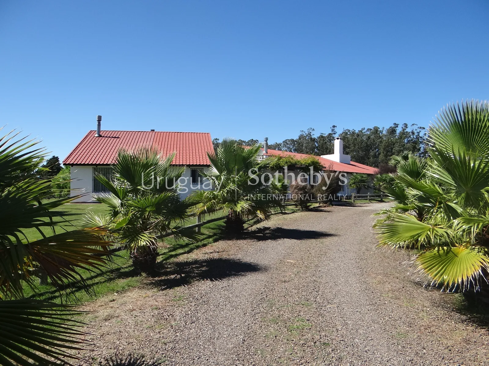 Chacra en Pueblo Edén