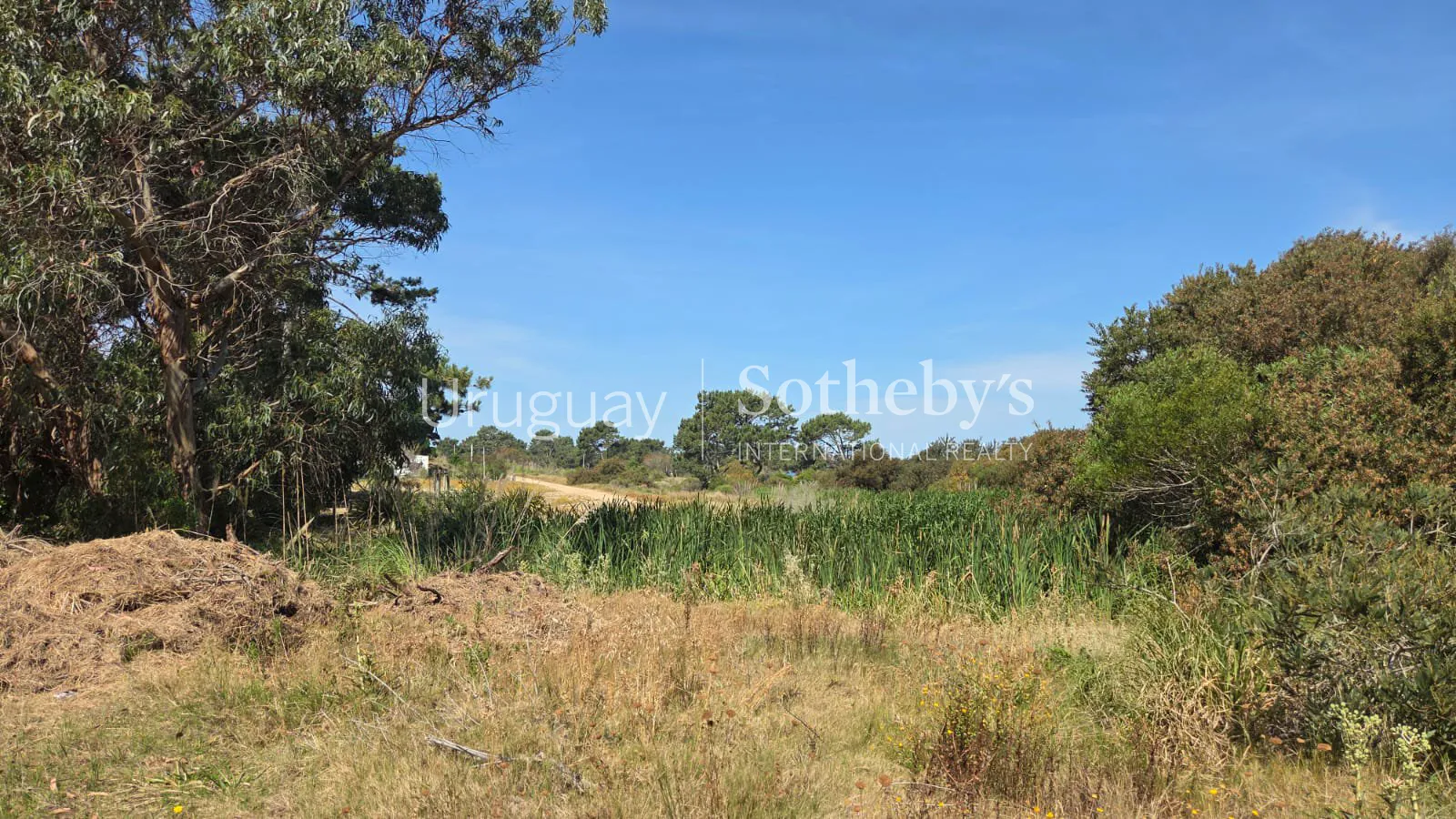 Lote Arenas – Terreno en venta en Arenas de José Ignacio – foto 6 de 7