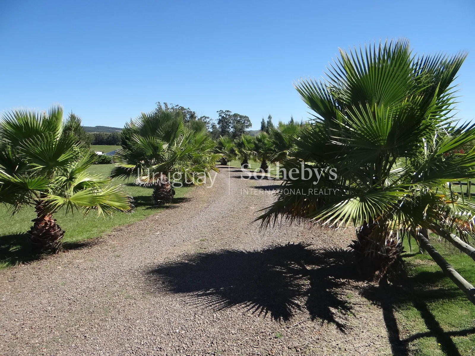 Chacra en Pueblo Edén