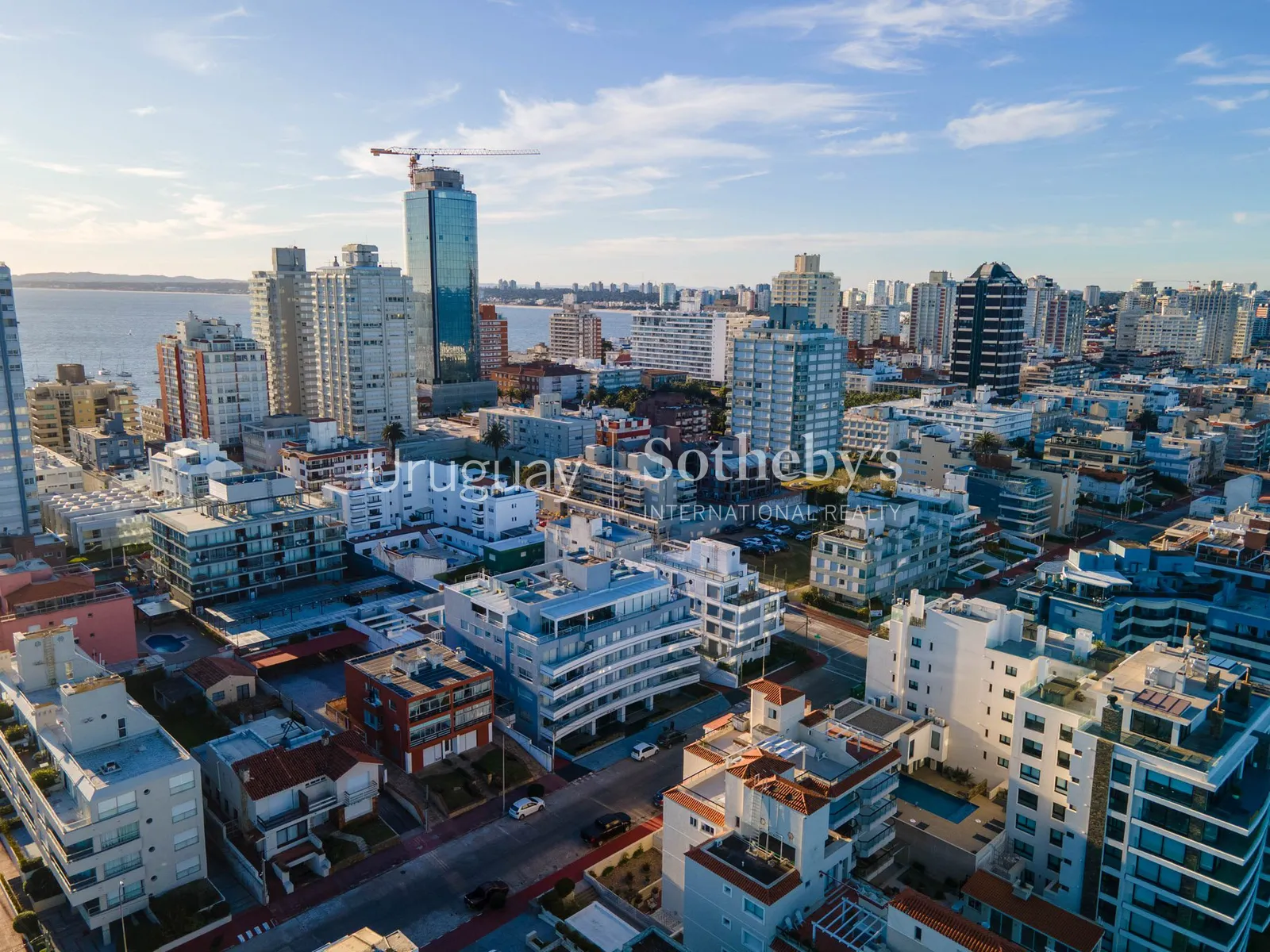 Apartamento de 1 dormitorio y 33 m² en alquiler en Península – foto 12 de 19