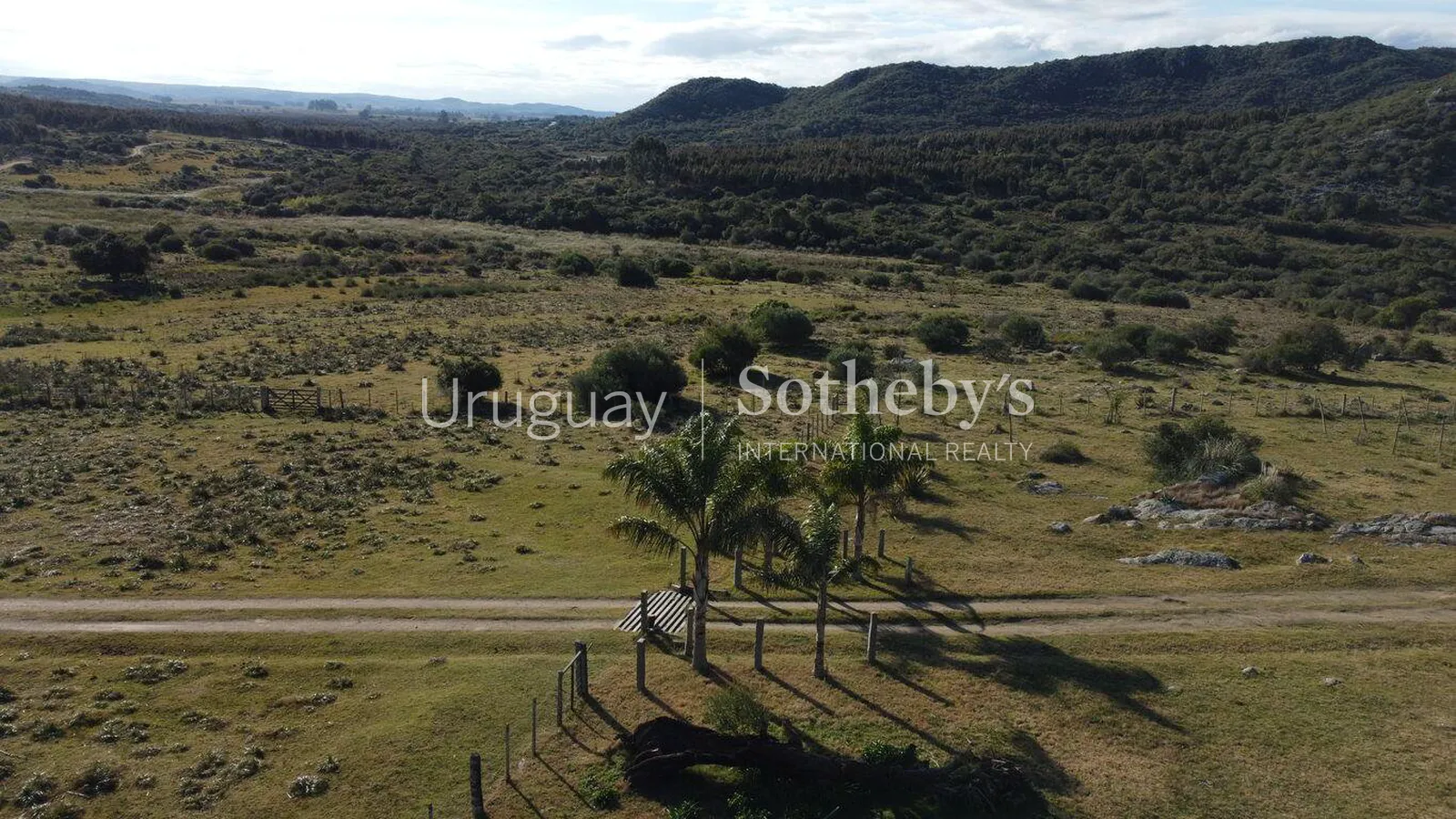 Campo ganadero en zona turística de Maldonado