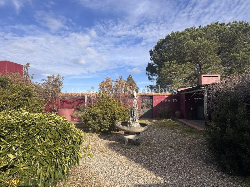 Campo ganadero en zona turística de Maldonado - Aiguá