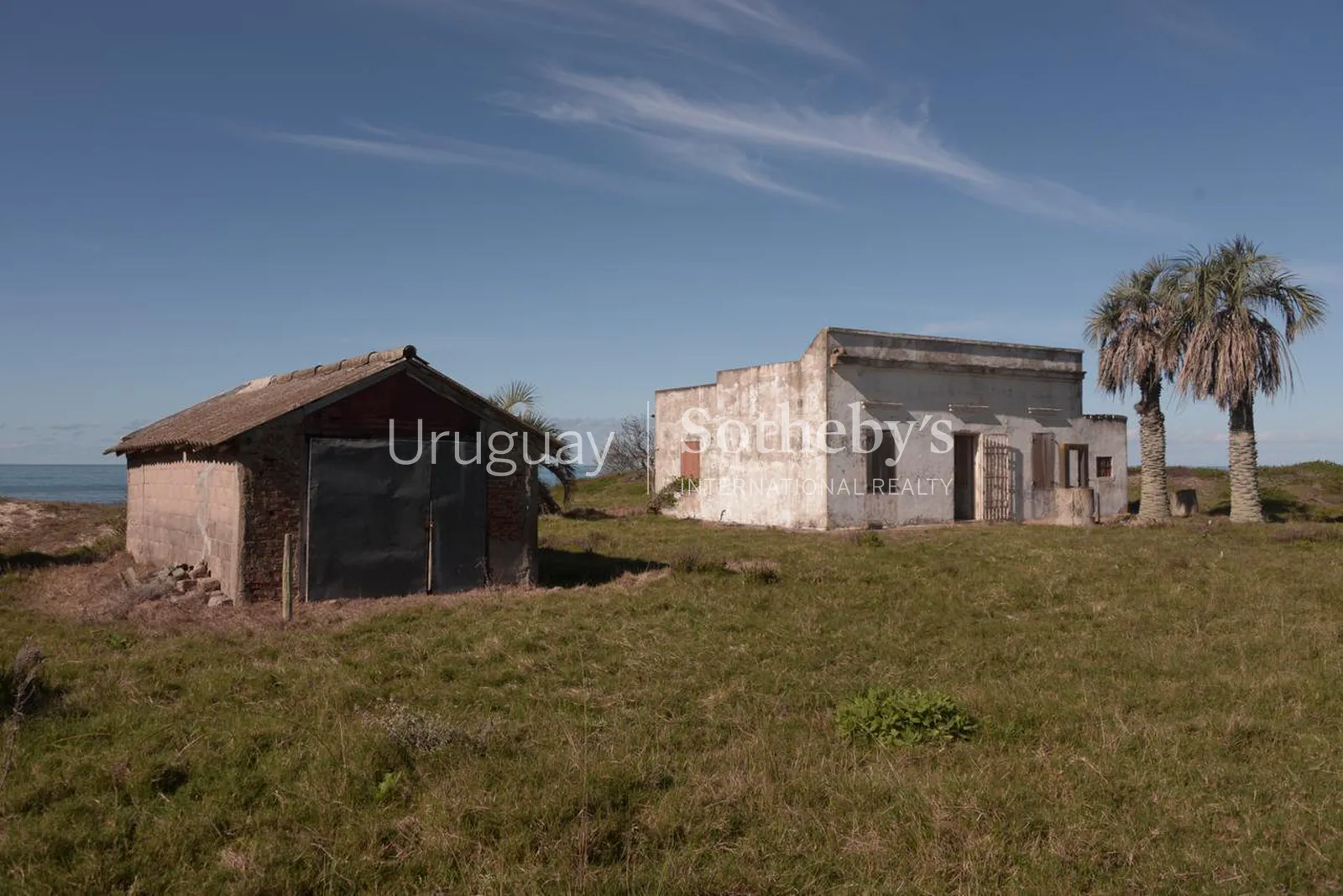 Oceanfront Farm near La Coronilla – photo 9 of 10
