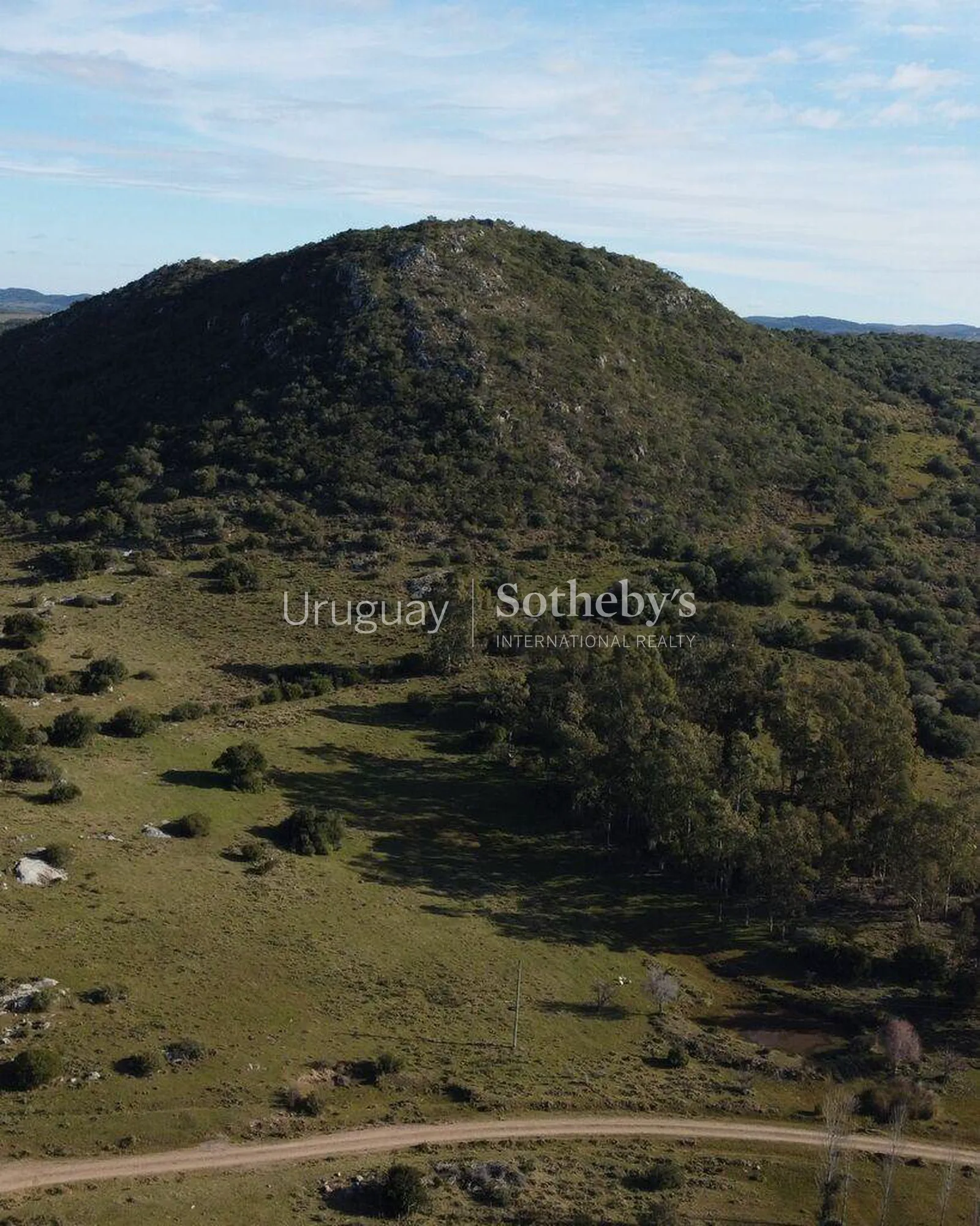 Campo ganadero en zona turística de Maldonado