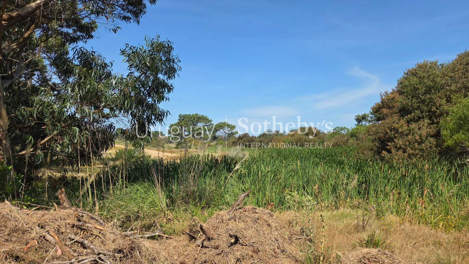Lote Arenas – Terreno en venta en Arenas de José Ignacio – foto 3 de 7