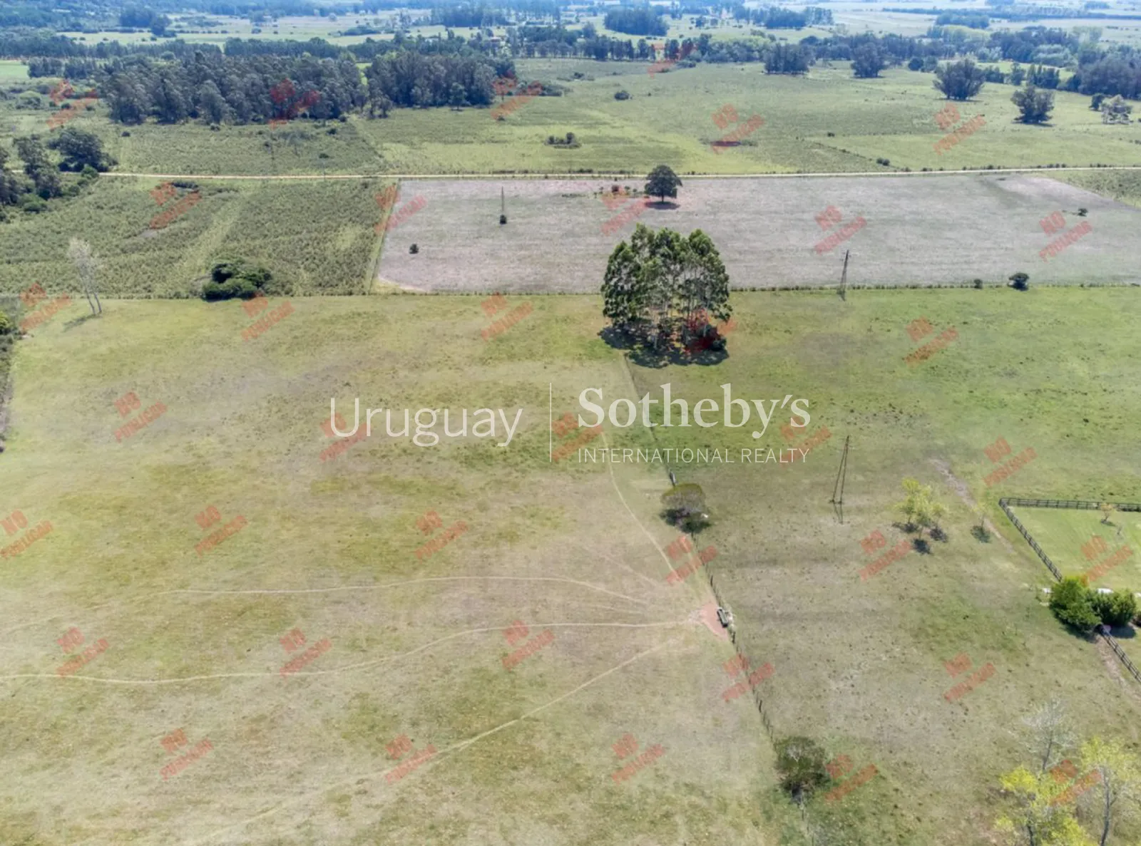 10-hectare farm in Lapataia