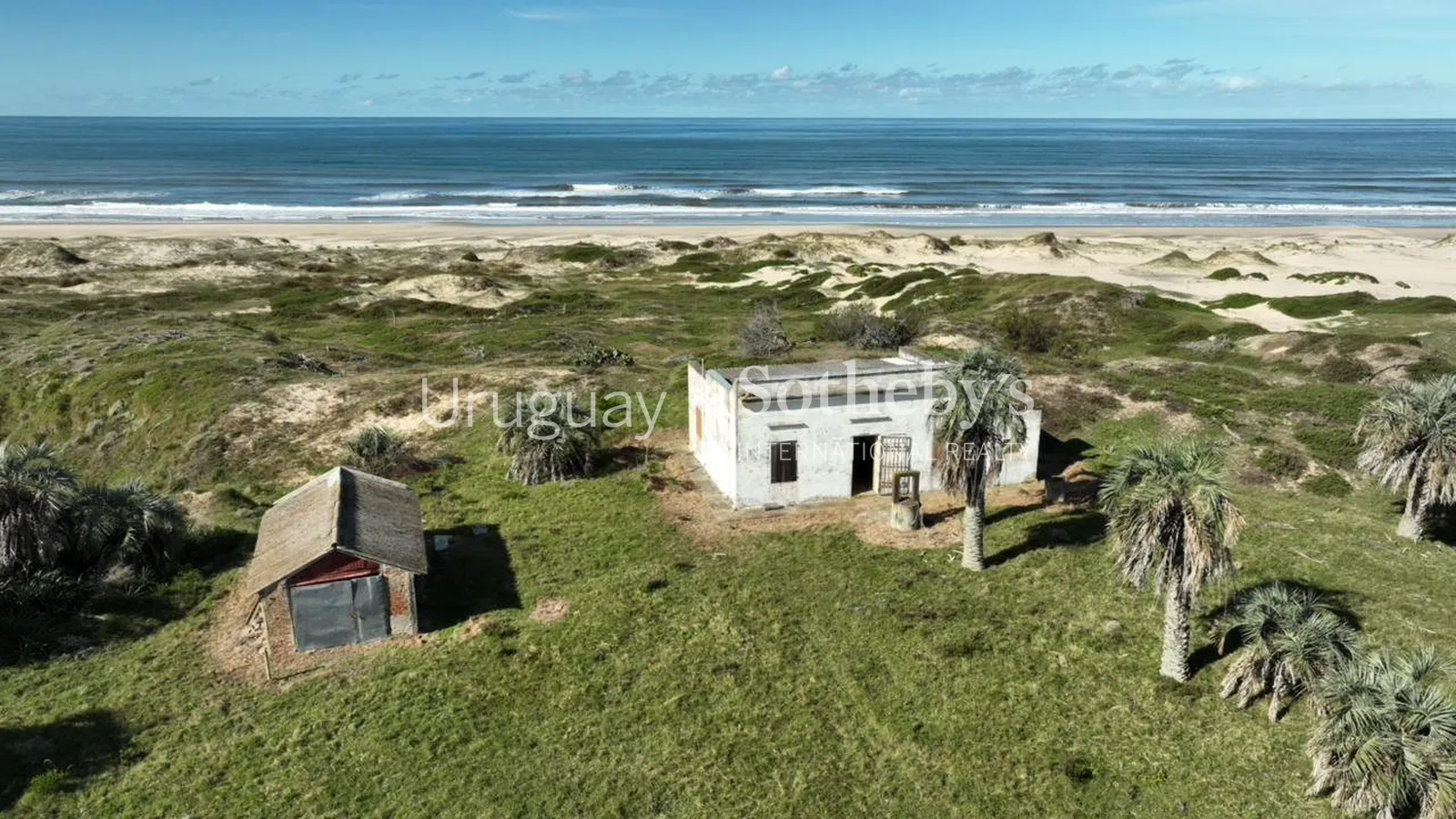 Oceanfront Farm near La Coronilla – photo 5 of 10