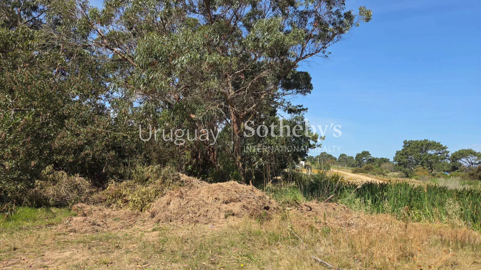 Lote Arenas – Terreno en venta en Arenas de José Ignacio – foto 4 de 7