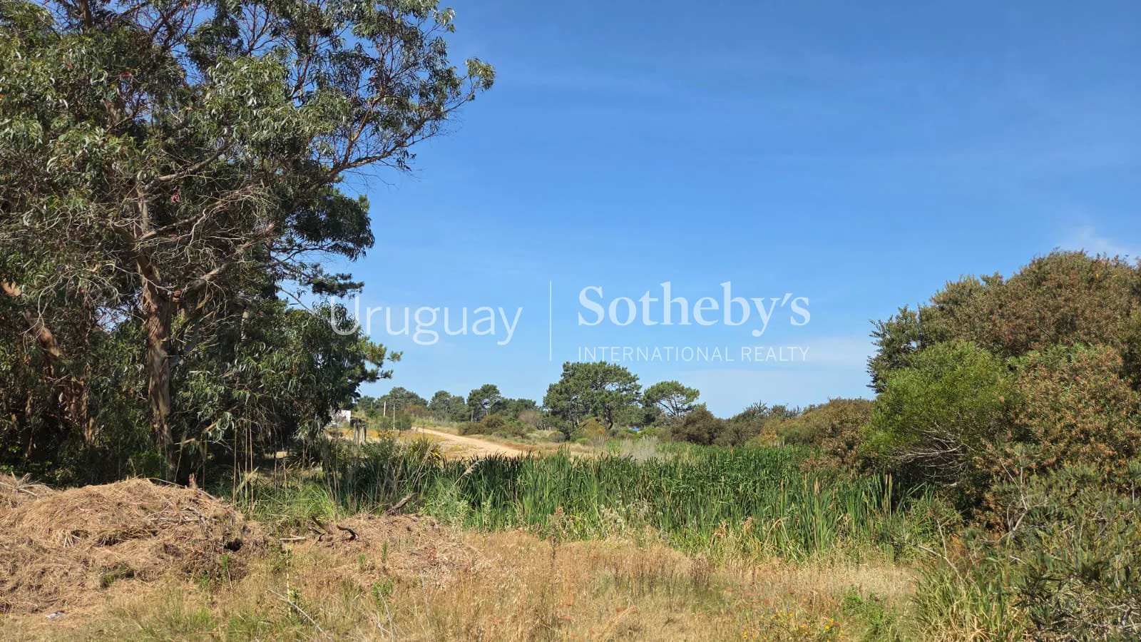 Lote Arenas – Terreno en venta en Arenas de José Ignacio – foto 2 de 7