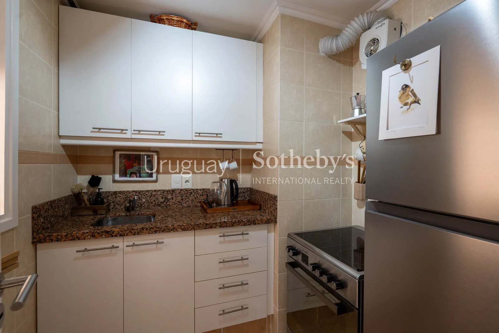 Apartamento de 1 dormitorio y 33 m² en alquiler en Península – foto 6 de 19