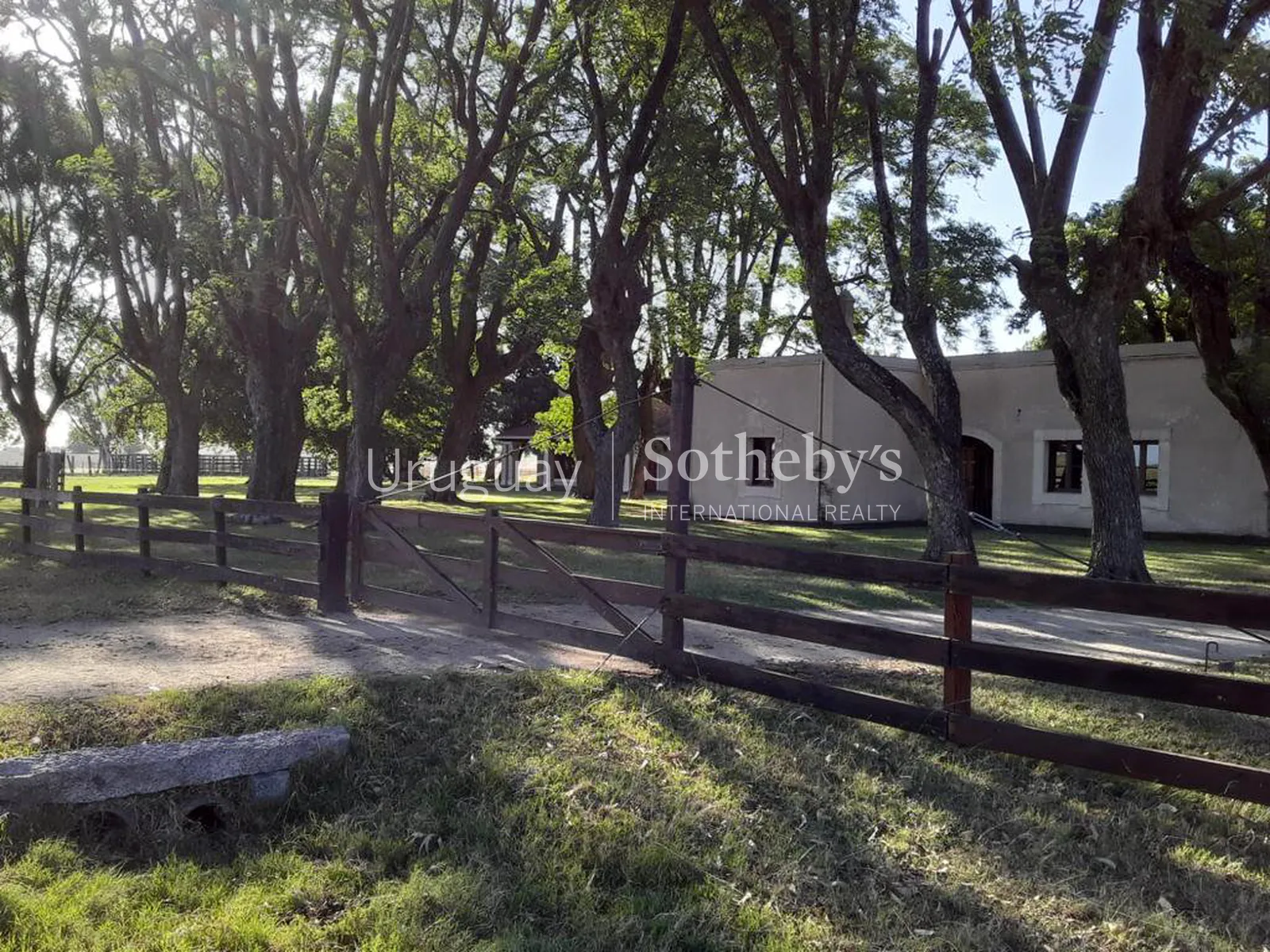 Ranch in San José