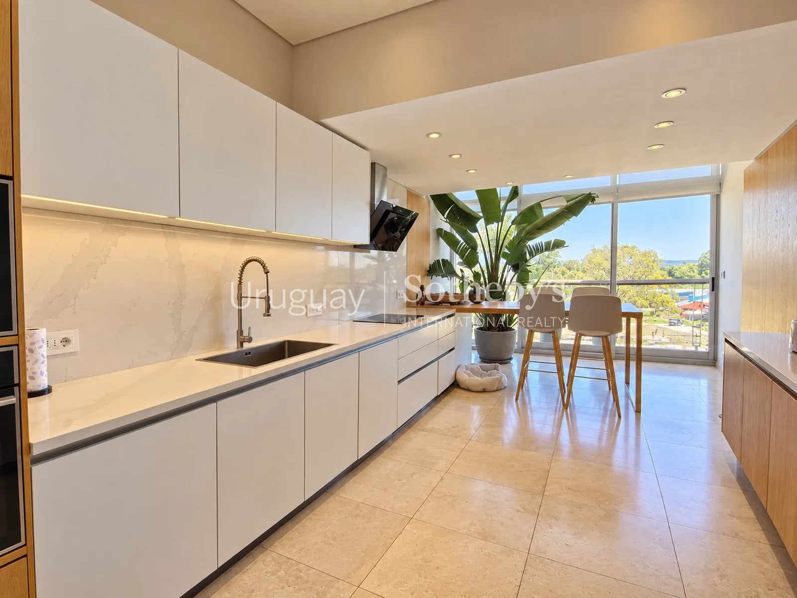 Penthouse dúplex en Delamar 