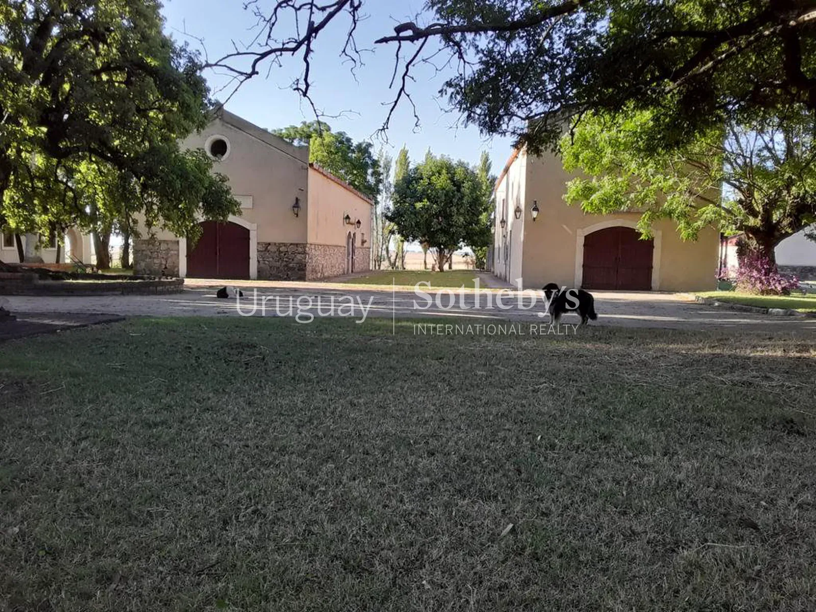 Ranch in San José