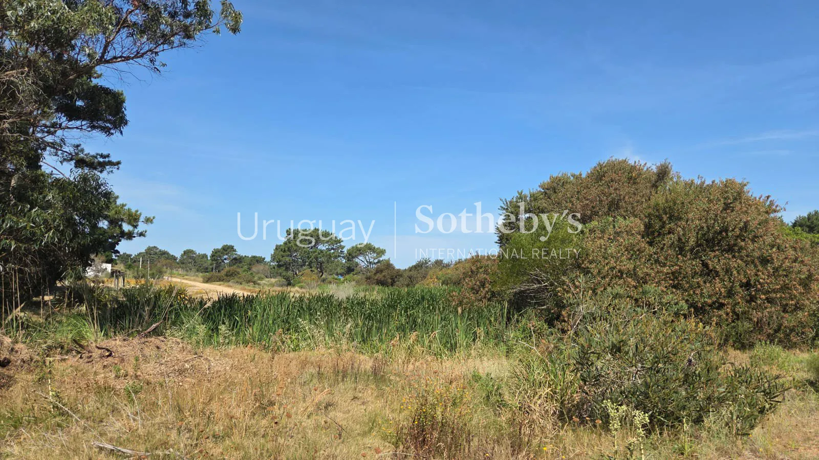 Lote Arenas – Terreno en venta en Arenas de José Ignacio – foto 5 de 7