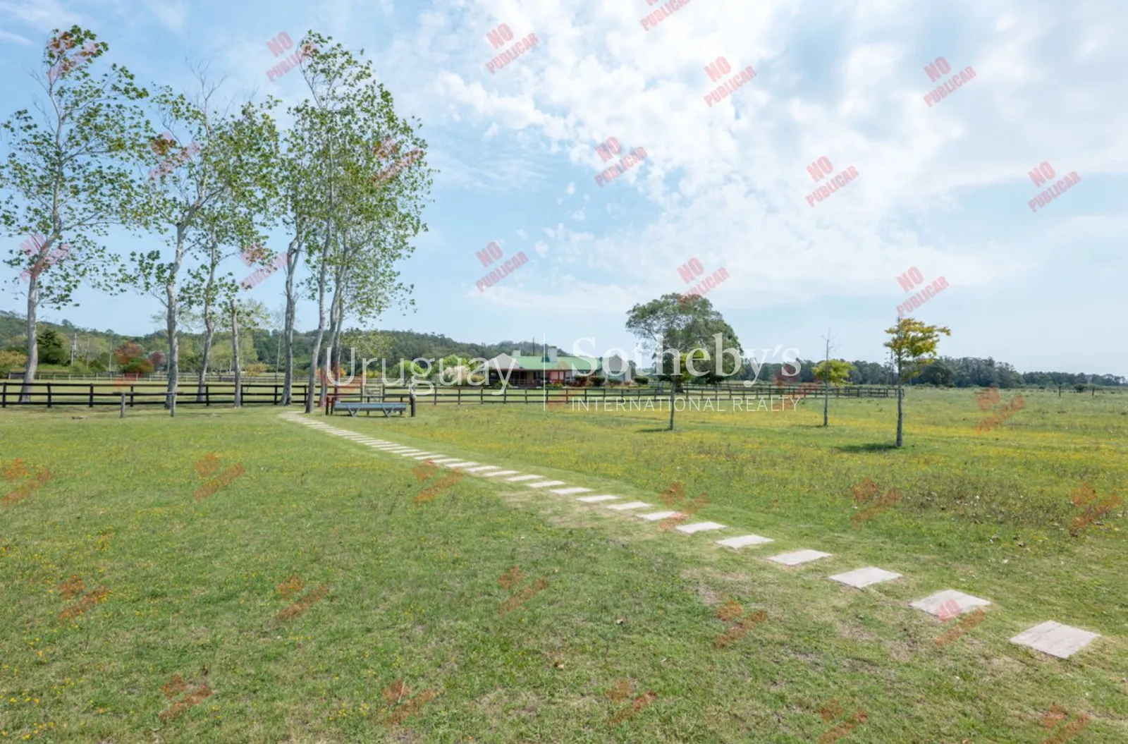 10-hectare farm in Lapataia