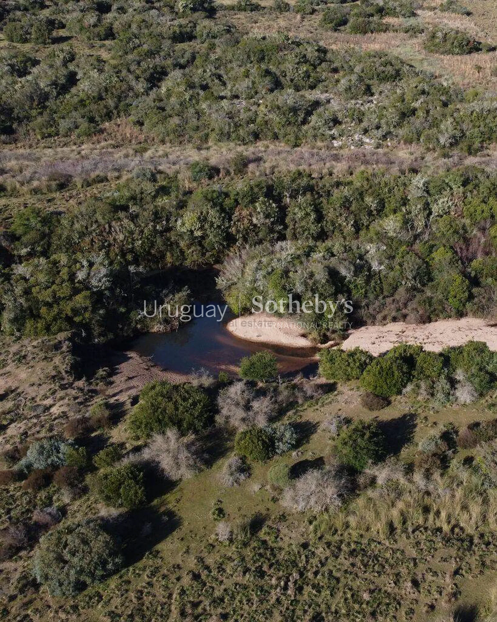 Campo ganadero en zona turística de Maldonado