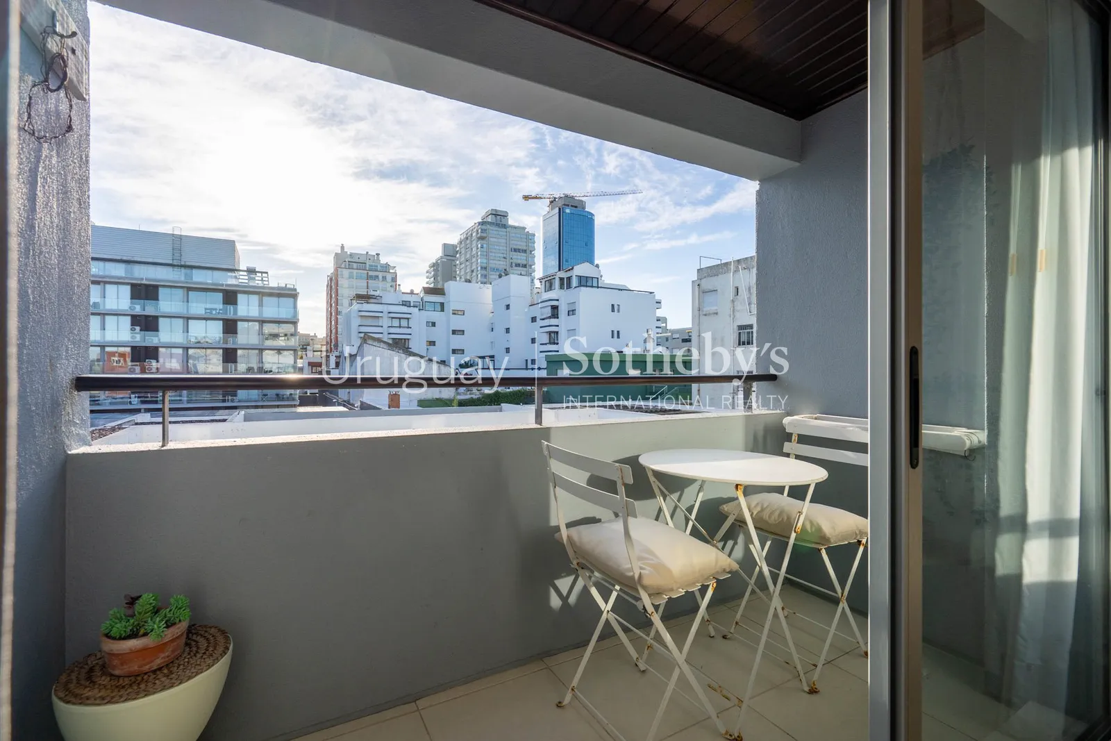 Apartamento de 1 dormitorio y 33 m² en alquiler en Península – foto 4 de 19