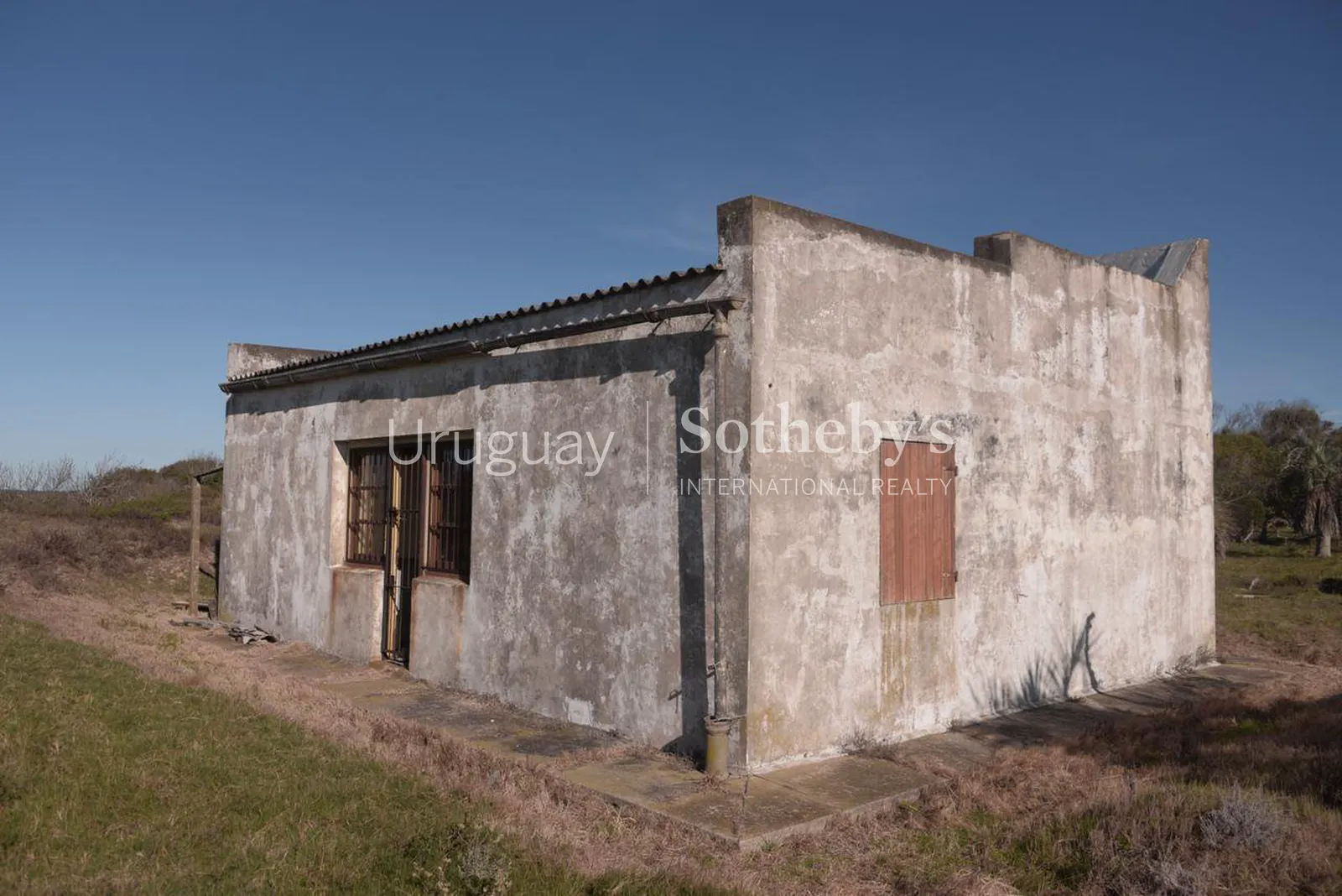 Oceanfront Farm near La Coronilla – photo 10 of 10