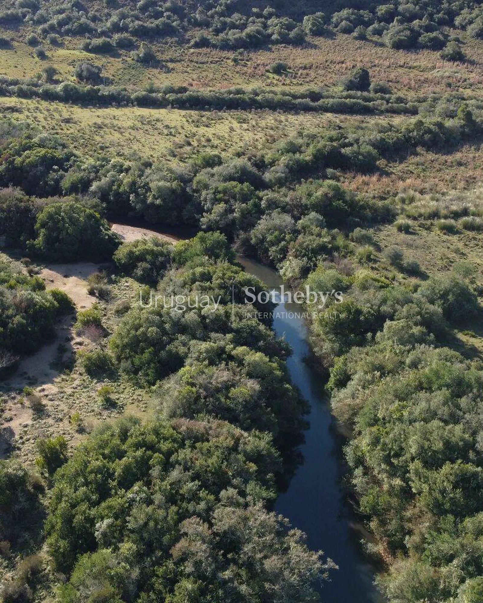Campo ganadero en zona turística de Maldonado