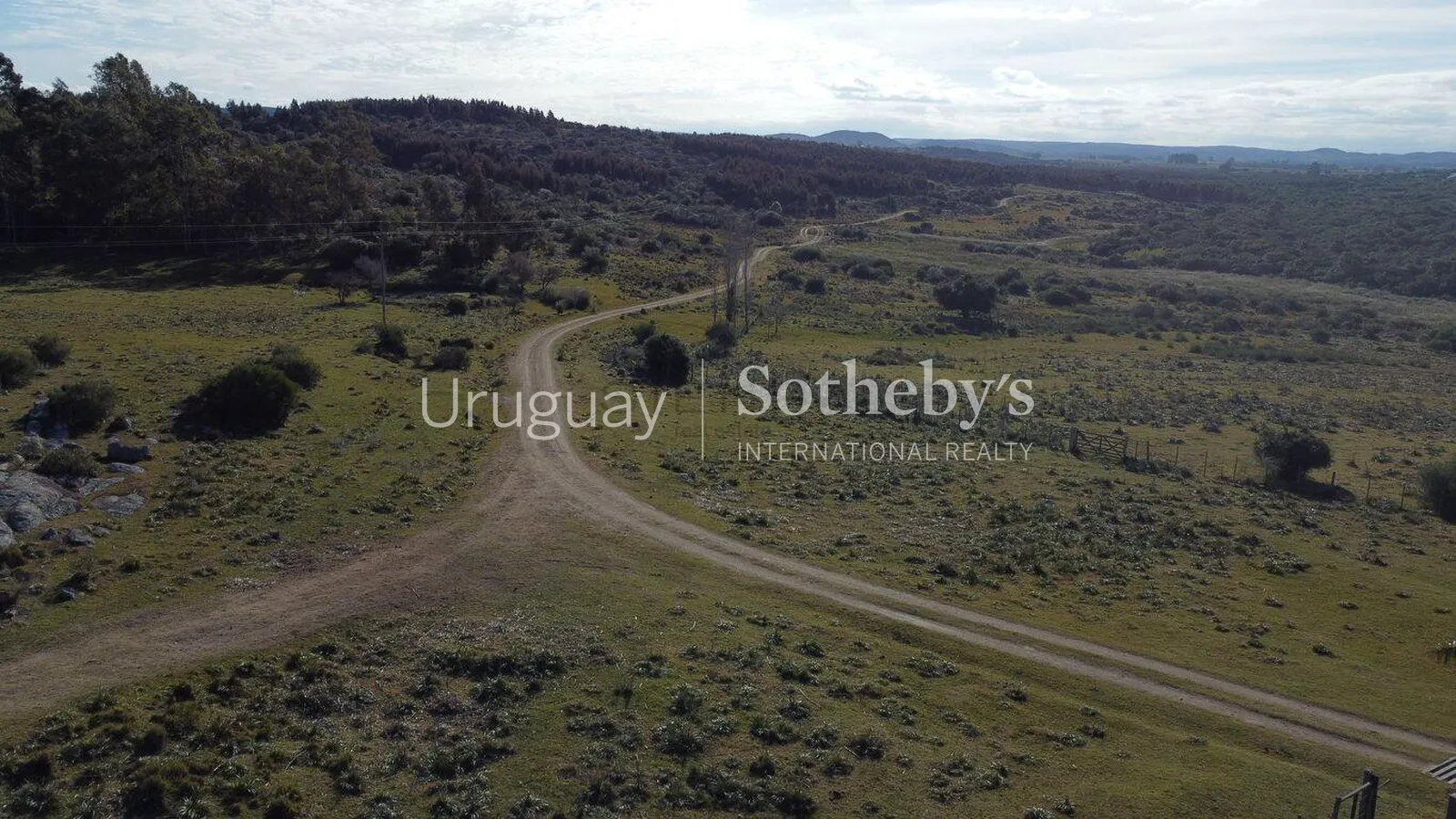 Campo ganadero en zona turística de Maldonado