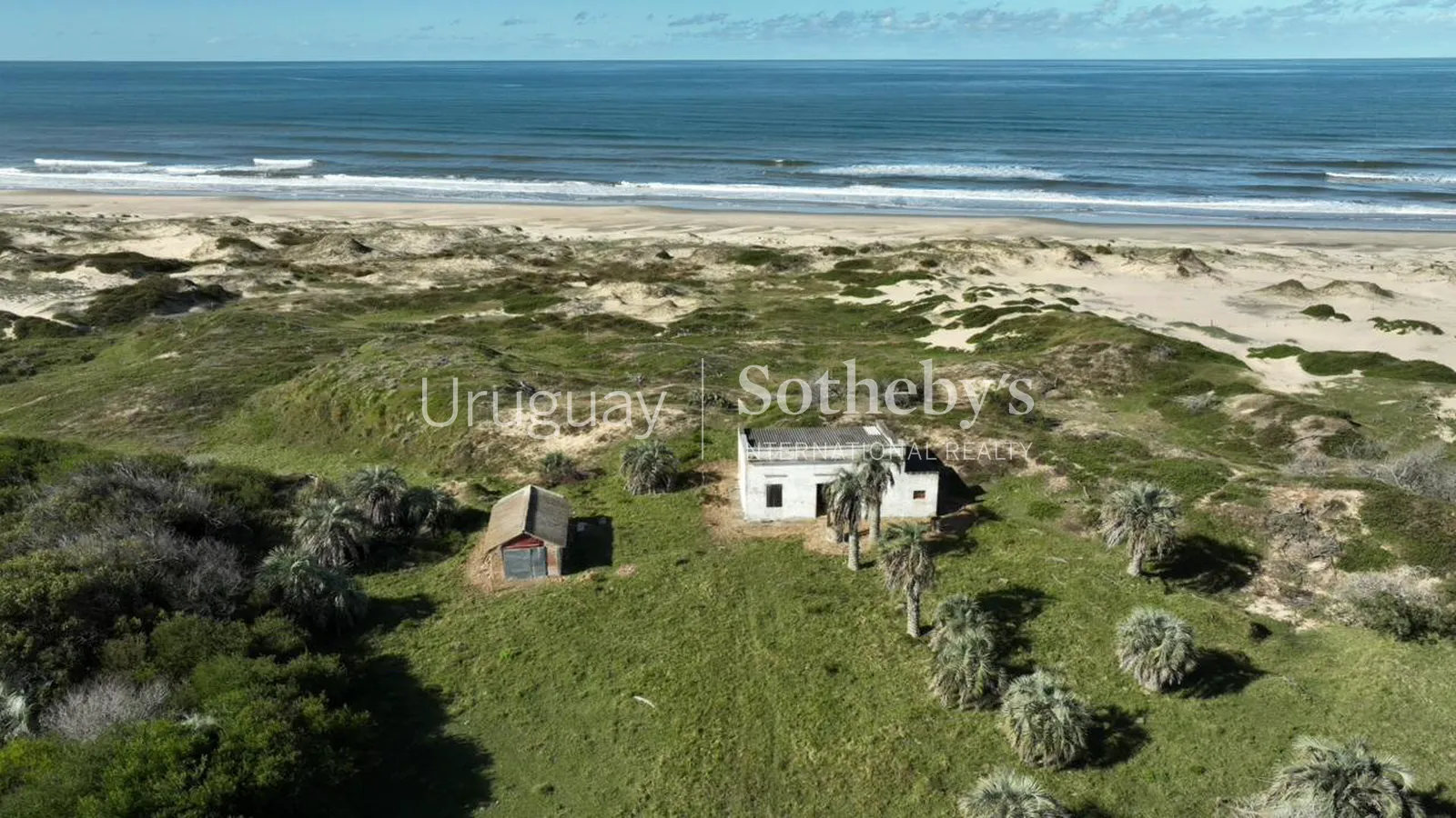 Oceanfront Farm near La Coronilla – photo 4 of 10